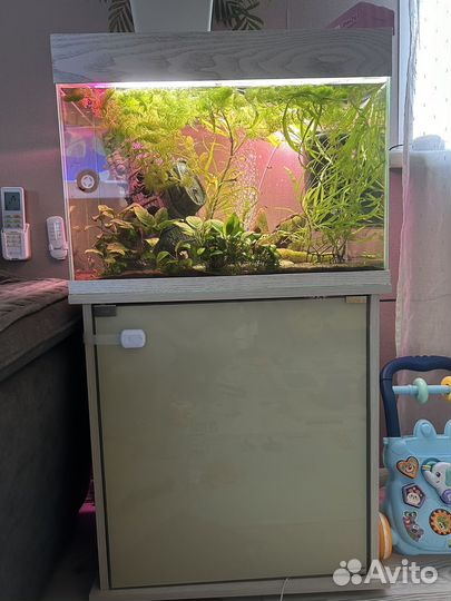 Аквариум с тумбой 60 литров