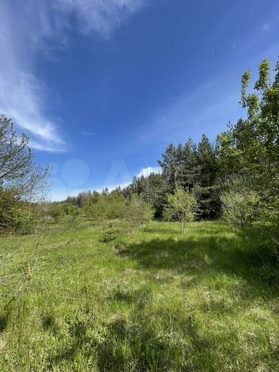 Участок 41 сот. (ИЖС)