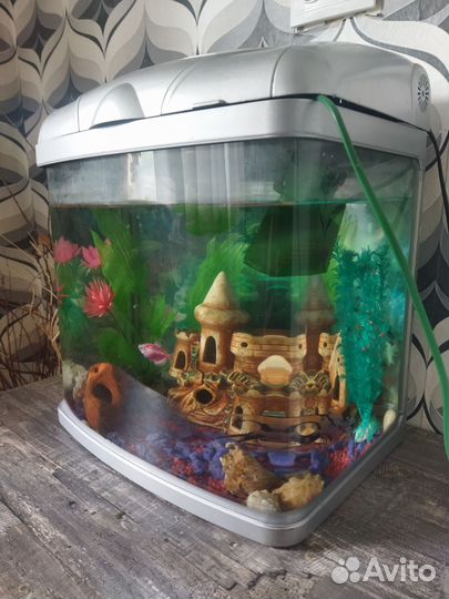 Аквариум