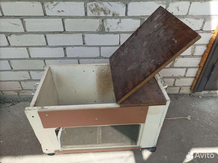 Брудер для цыплят