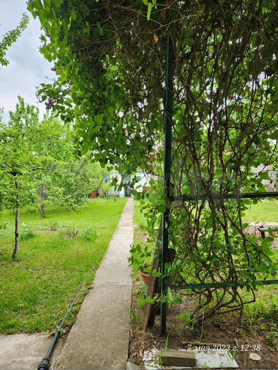 Дача 60 м² на участке 6,5 сот.