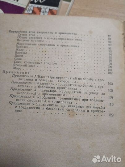 Смородина и крыжовник Рыбицкий Н. А