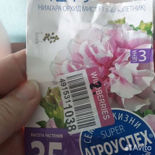 Петунья 6 см двойной цветок (как Гибискус)