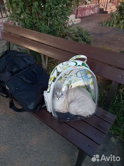 Сумка переноска для кошек и собак