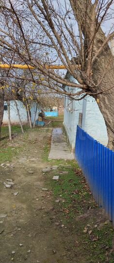 Дом 74 м² на участке 6 сот.