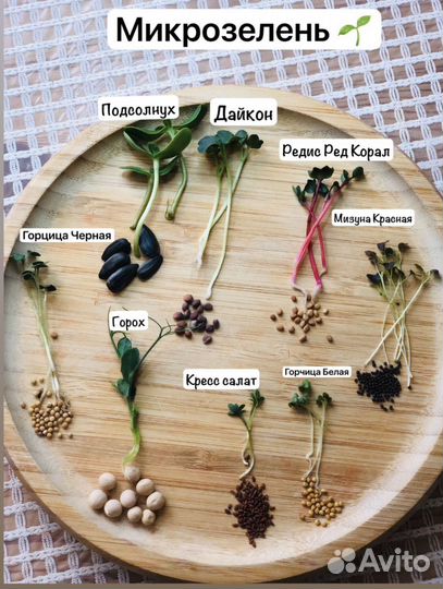 Микрозелень