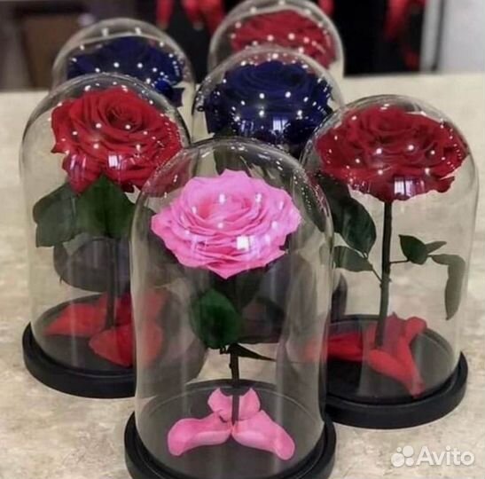 Неувядающая роза в колбе