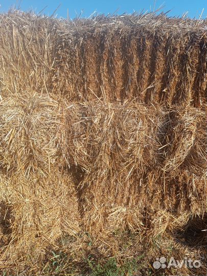 Солома в тюках