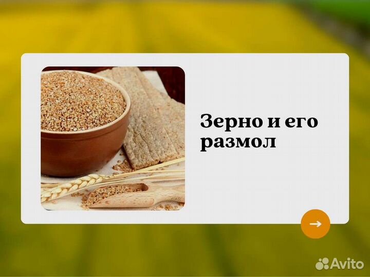 Пшеница Зерно (кг)