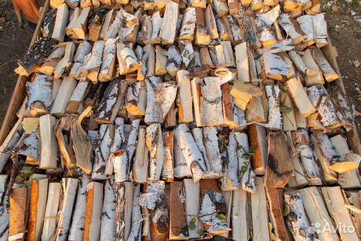 Дрова березовые