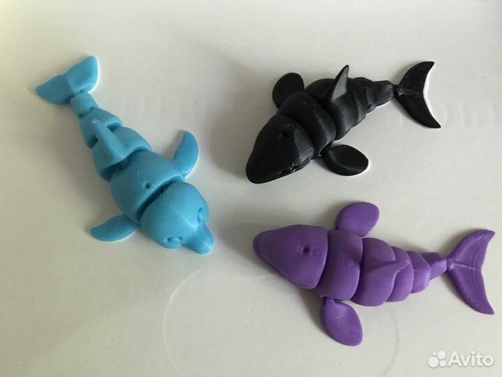 Обитатели моря: касатка дельфин кит морская звезда