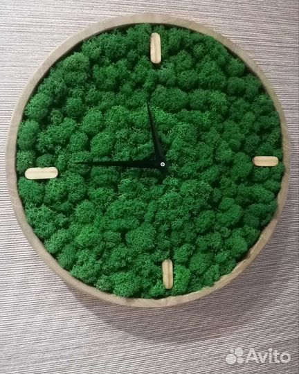 Стабилизированный мох часы