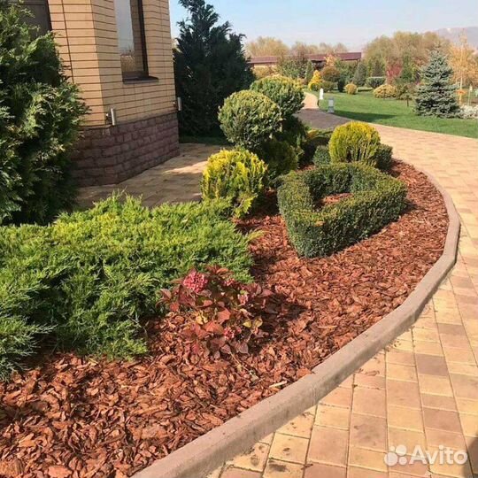 Кора(мульча) лиственницы п.Дружный за 