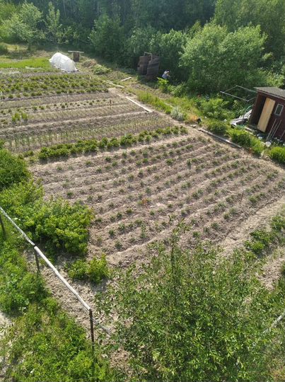 Участок 8 сот. (СНТ, ДНП)