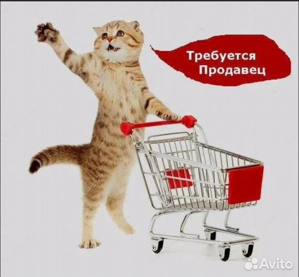 Требуется продавец в зоомагазин в ТЦ Ганза