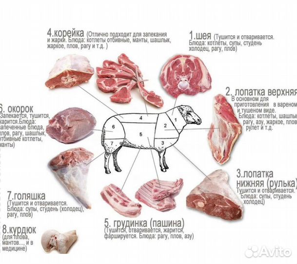 Мясо баранины