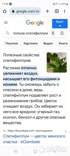 Продам цветы комнатные