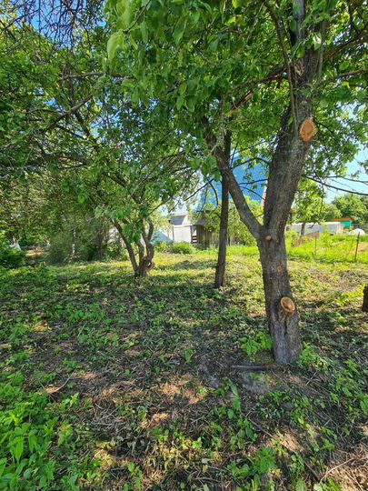 Дача 37 м² на участке 6 сот.