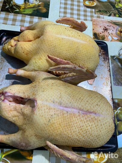 Домашнее мясо индоуток