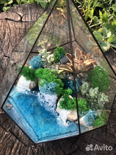 Флорариум, комнатные цветы