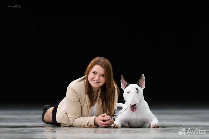 Услуги хендлера