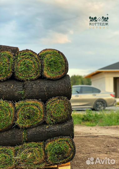 Рулонный газон