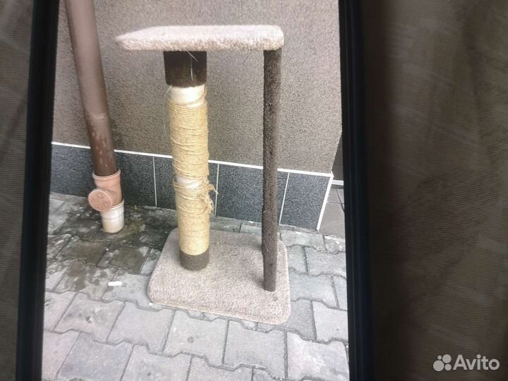 Когтеточка