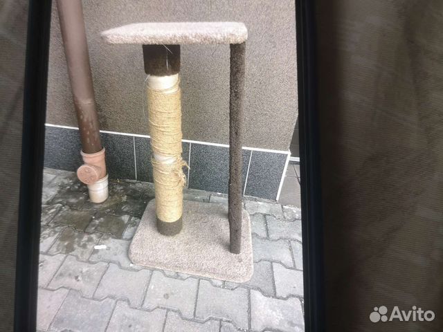 Когтеточка