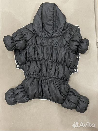 Одежда для собачки