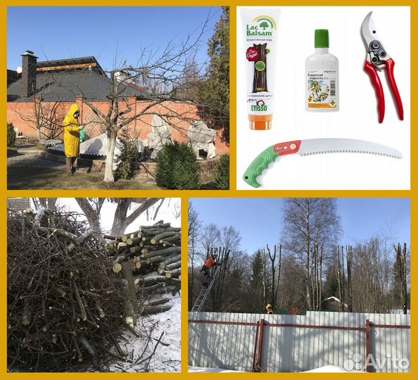 Обрезка яблонь