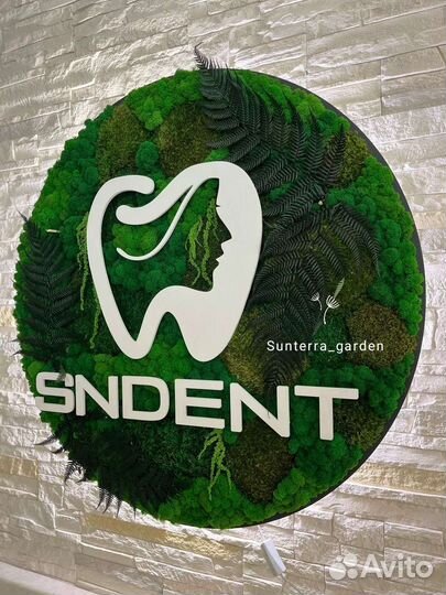 Круги со мхом с подсветкой. Логотипы из мха