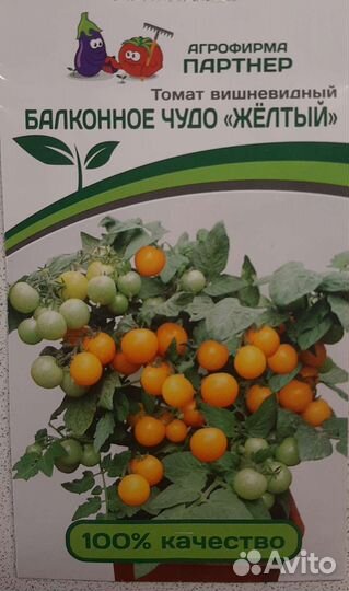 Рассада томатов помидор черри