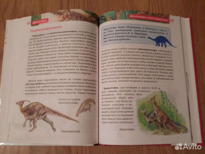 Книга Динозавры