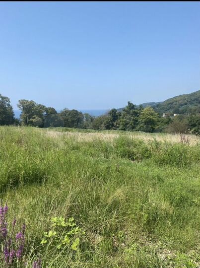 Участок 1,44 га (ИЖС)