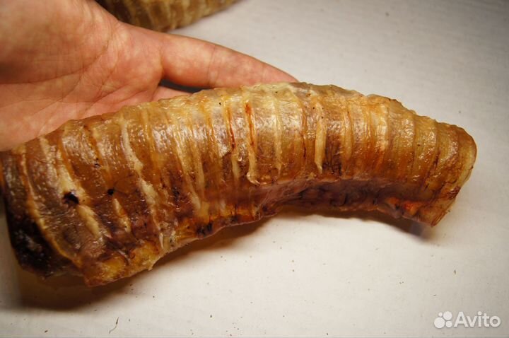 Вкусняшки сушенные для собак