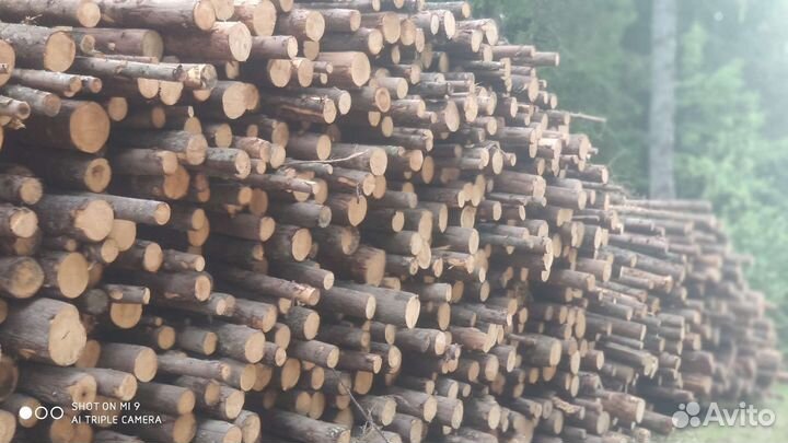 Продам дрова