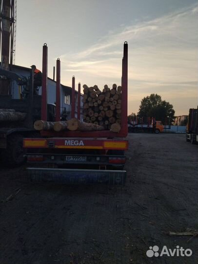 Дрова колотые