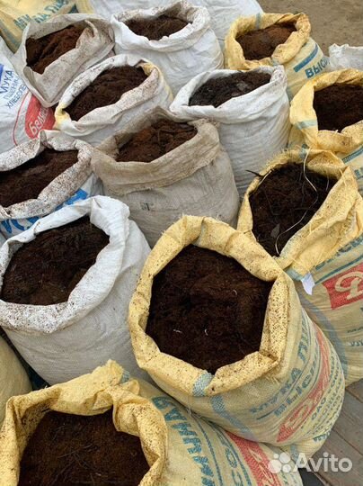 Перегной коровий с конским