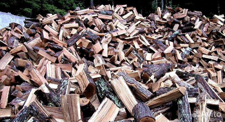 Дрова березовые колотые