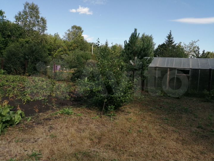 Участок 11,5 сот. (СНТ, ДНП)