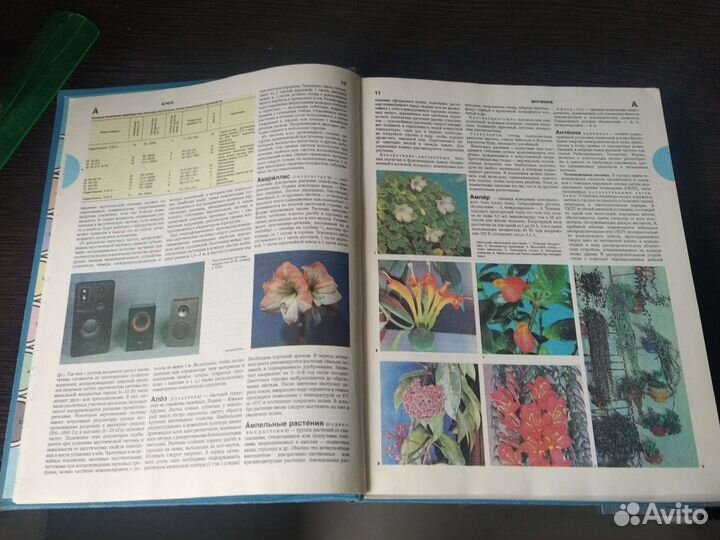 Энциклопедия домашнего хозяйства