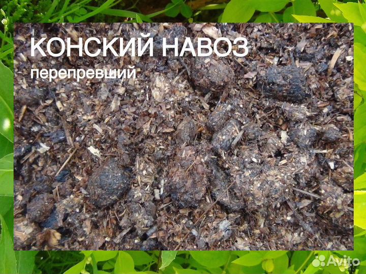 Навоз
