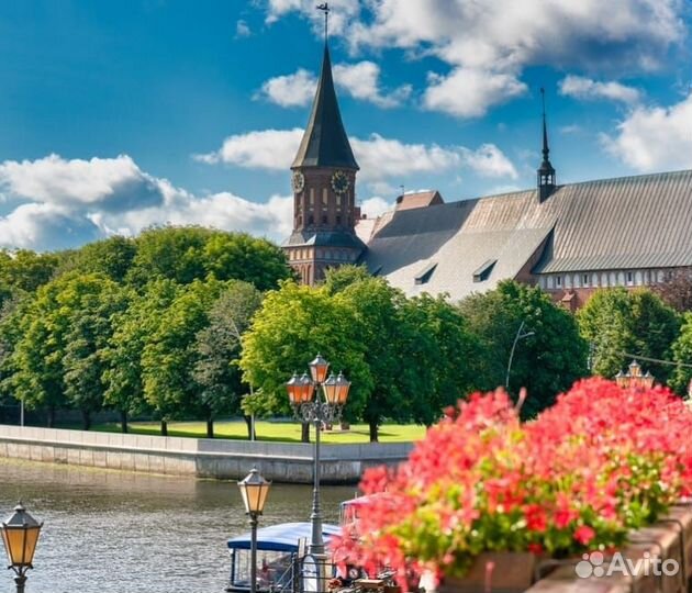 Экскурсии в Калининграде