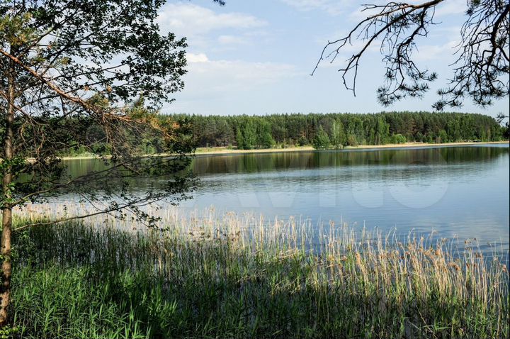 Участок 35 га (СНТ, ДНП)
