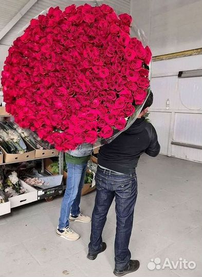 Высокие розы Гигантские розы Доставка цветов