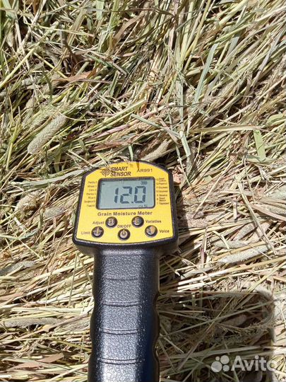 Сено могар,пайза урожай 23 года