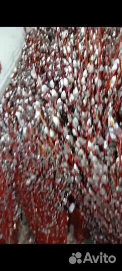 Продаю вербу