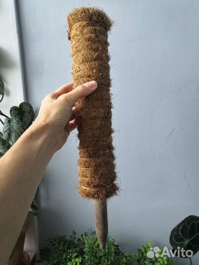 Керамические горшки для цветов, опоры бу