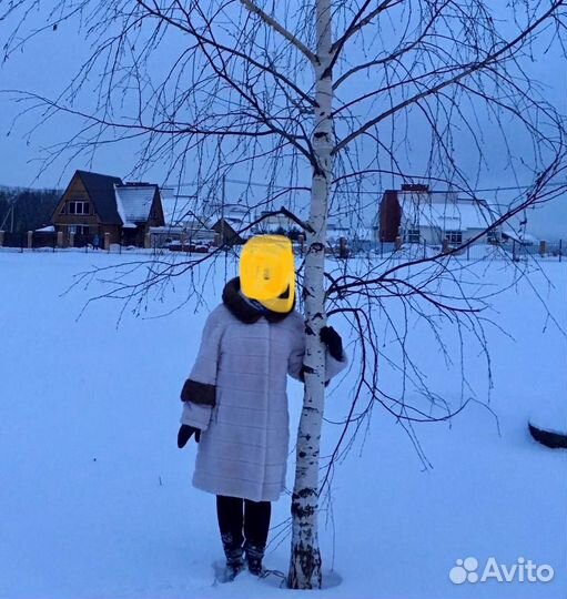 Шуба