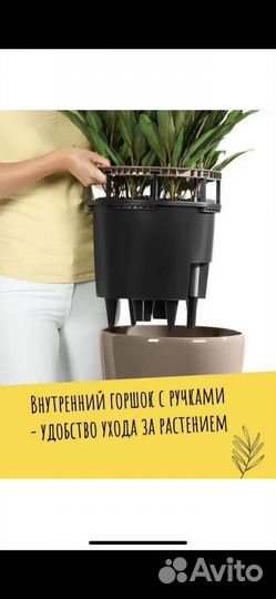 Горшок Лечузза